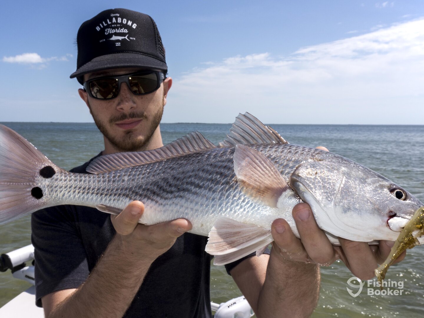 Titusville Report Photo 0