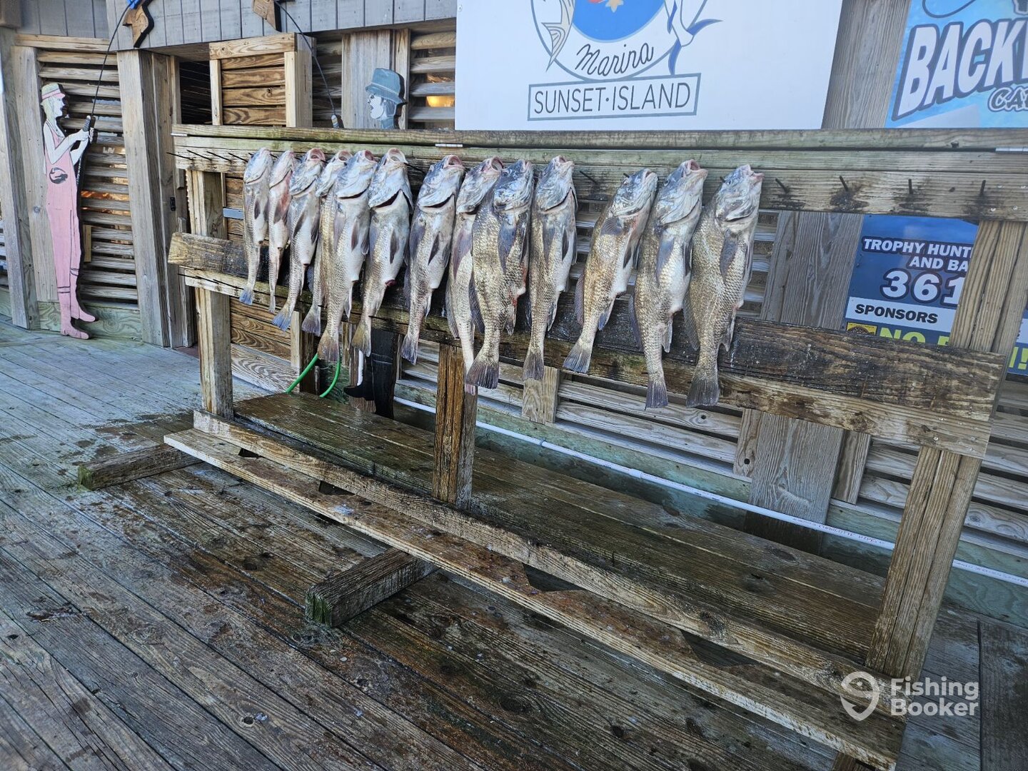 Corpus Christi Report Photo 0