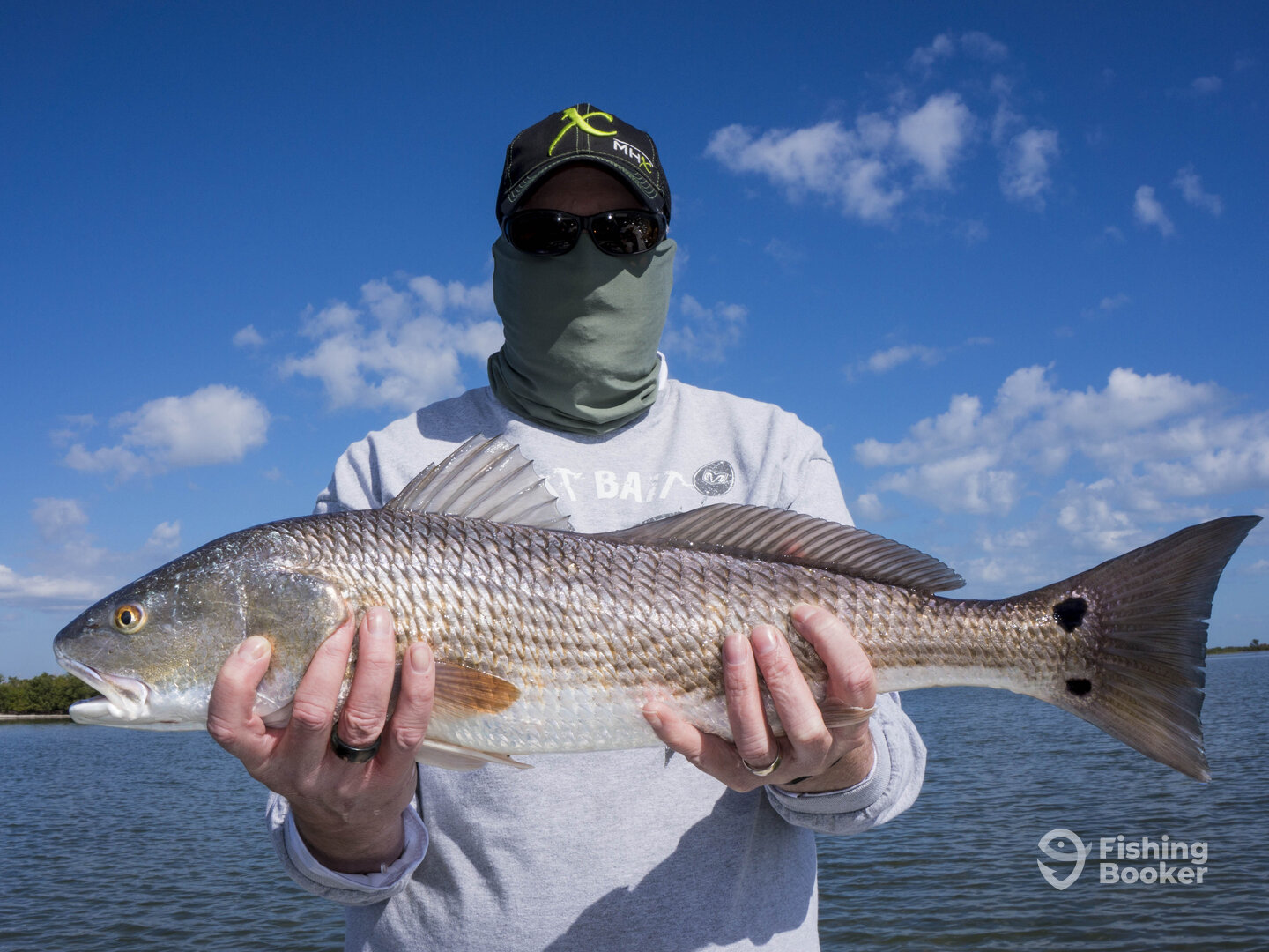 Titusville Report Photo 0