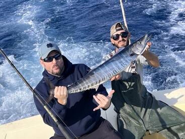 The Wahoo are Stopping by to Say Hello!