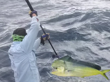 Sydney Report Photo 1