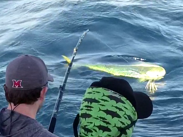 Ambition Report 28th.March’24