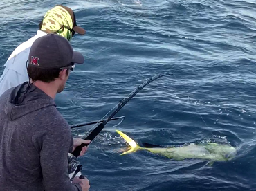 Sydney Report Photo 2