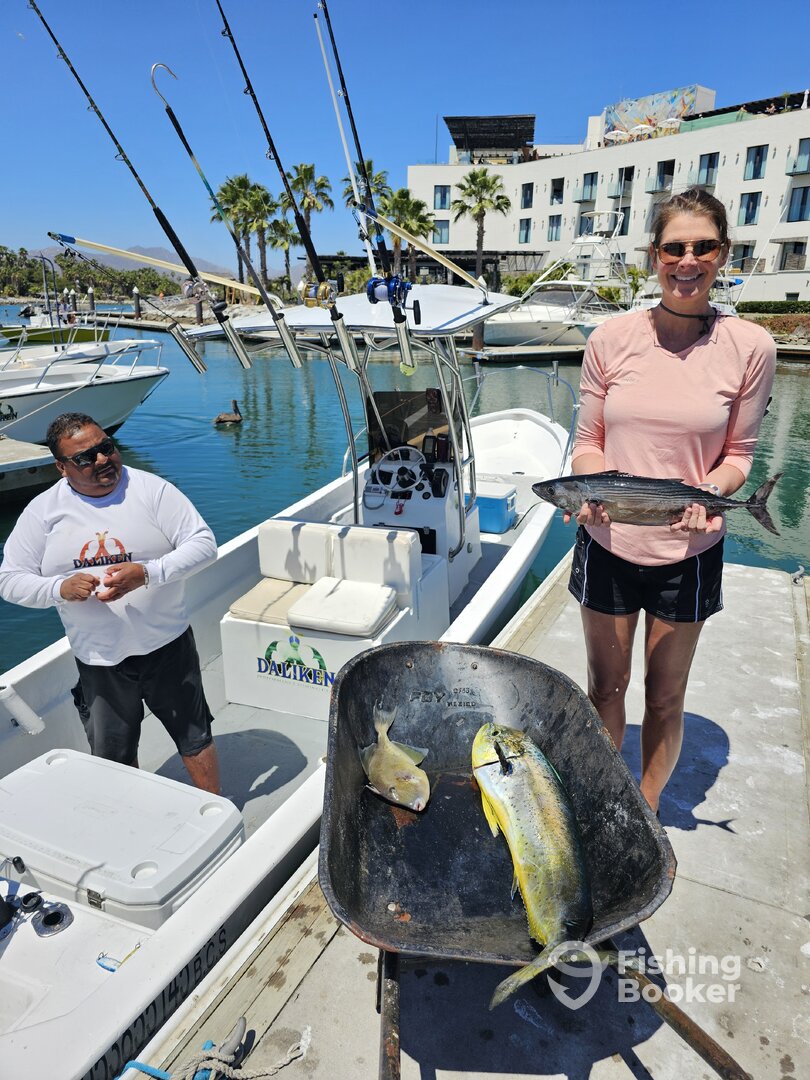 San Jose del Cabo Report Photo 0