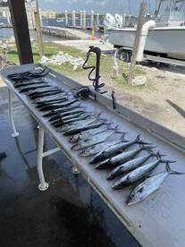 Springtime fishing heats up as the water