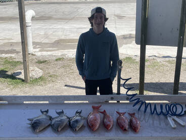 Jacksonville Report Photo 2