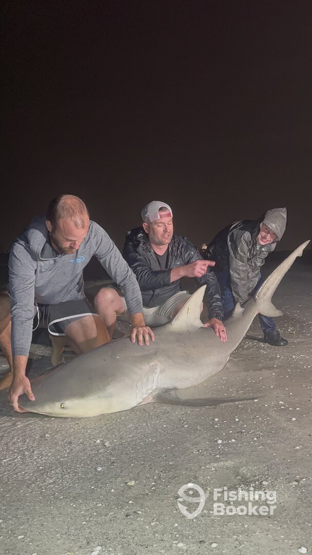 St. Pete Beach Report Photo 0