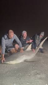 Spring is here! (THE BEST TIME TO FISH!)