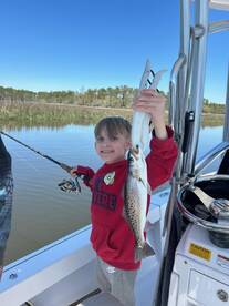 Mount Pleasant Report Photo 2