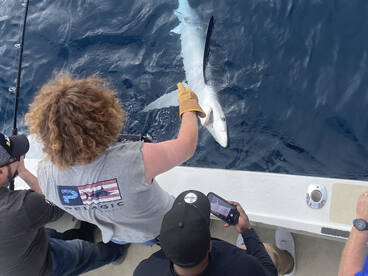 Anglers of all ages have been catching p