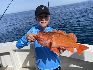 Rockfish season opens April 1st!