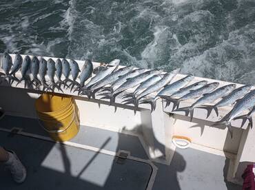 Port Canaveral Report Photo 1