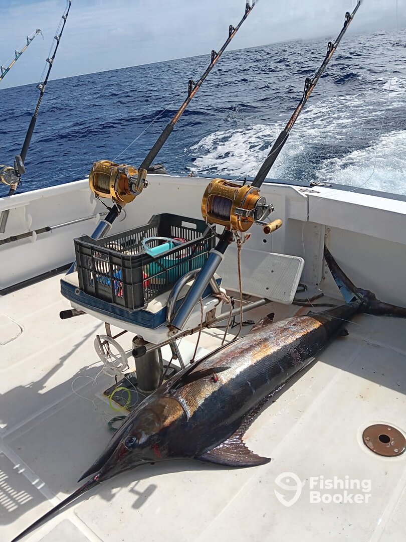 Le Morne Report Photo 0