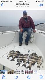 Sheepshead 