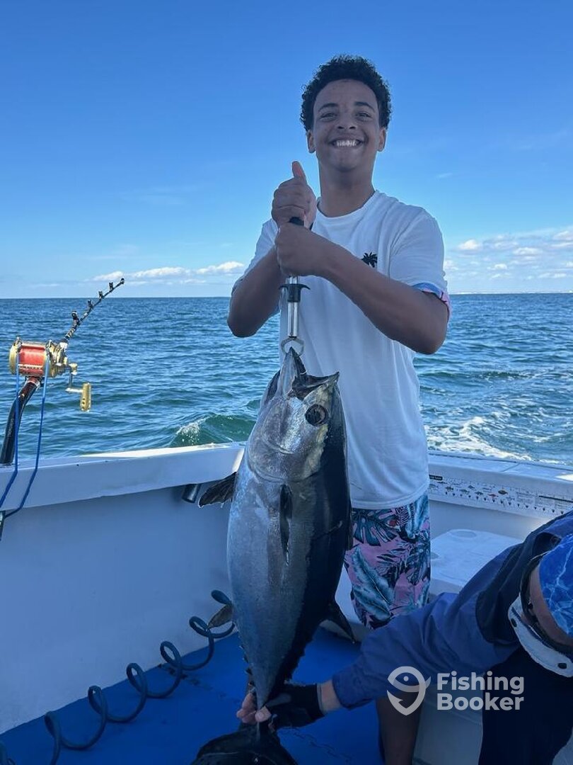 Niceville Report Photo 0