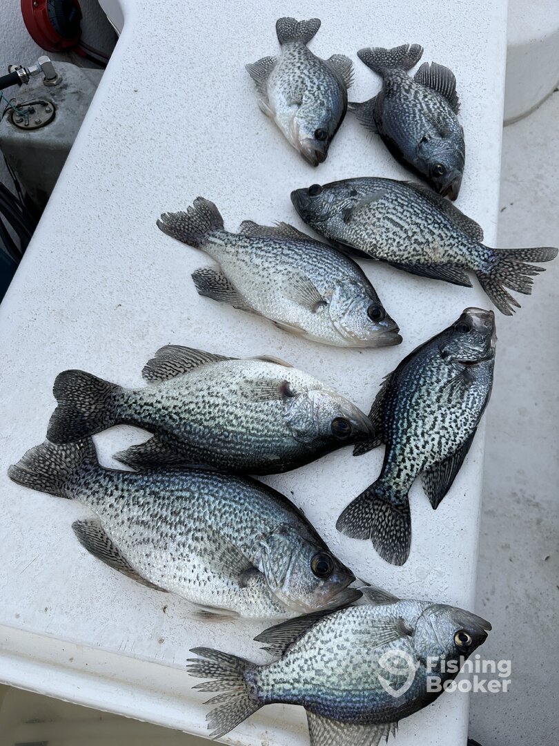 A few slabs