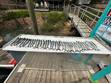 Murrells Inlet Report Photo 1