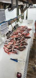 Great catch from a spring 8 hour