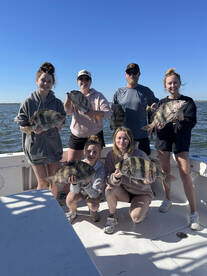 Sheeps, Sheeps, and MORE SHEEPS! 