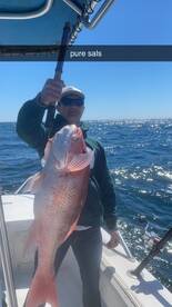 Pensacola Report Photo 2