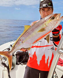 Great day in la gomera 