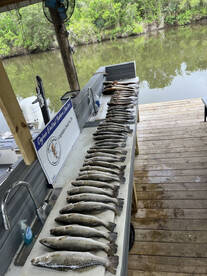 St. Bernard Report Photo 2