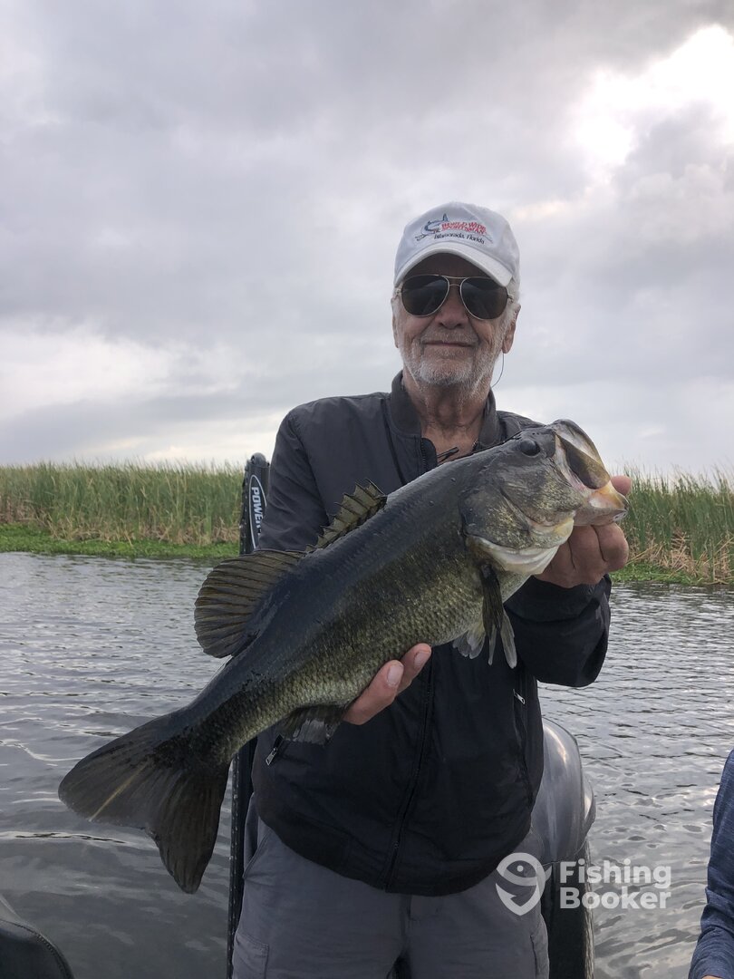 Palm Bay Report Photo 0