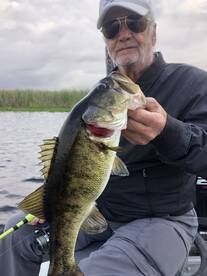 Palm Bay Report Photo 2