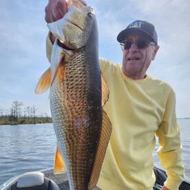 Kitty Hawk Report Photo 2