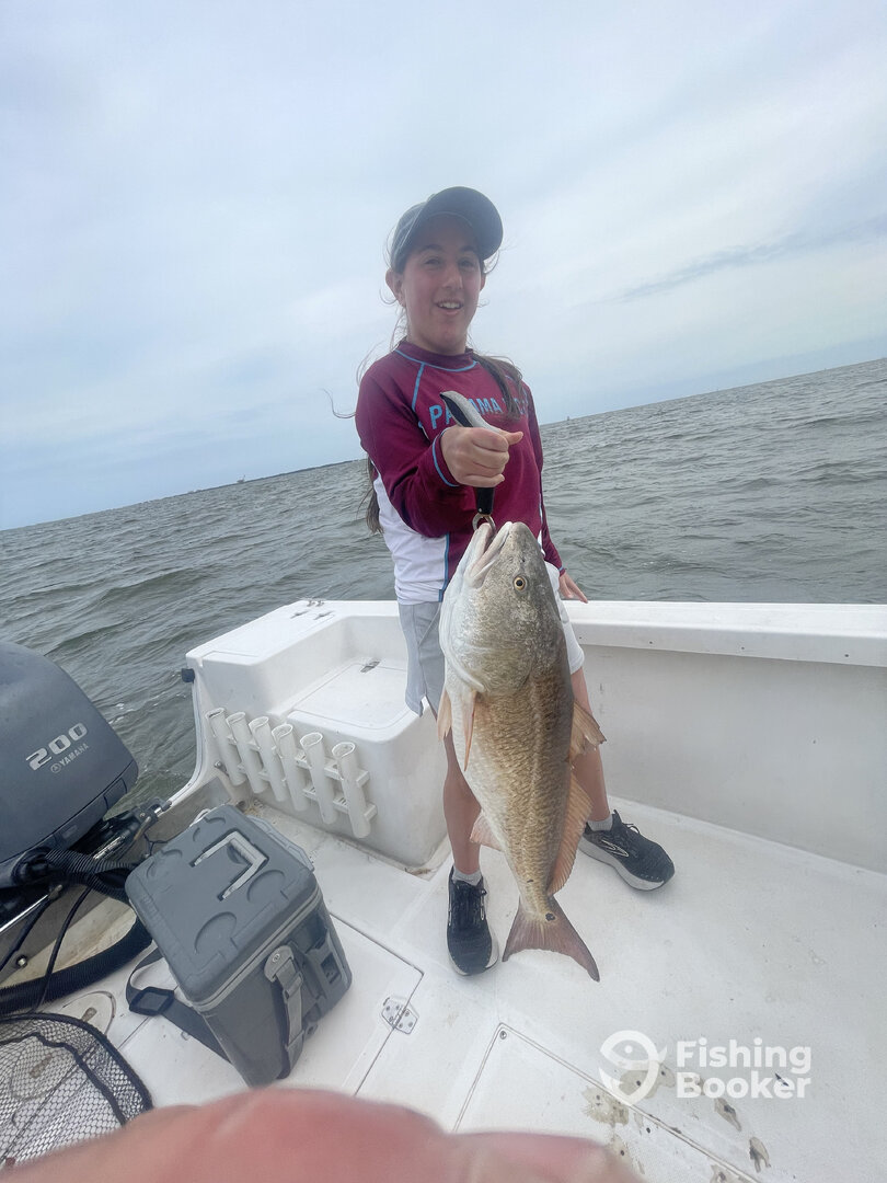 Dauphin Island Report Photo 0