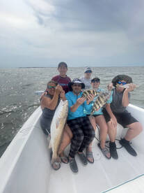 Dauphin Island Report Photo 1