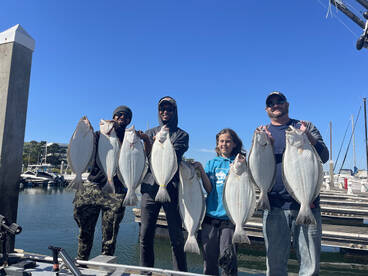 Another day of limits of Halibit