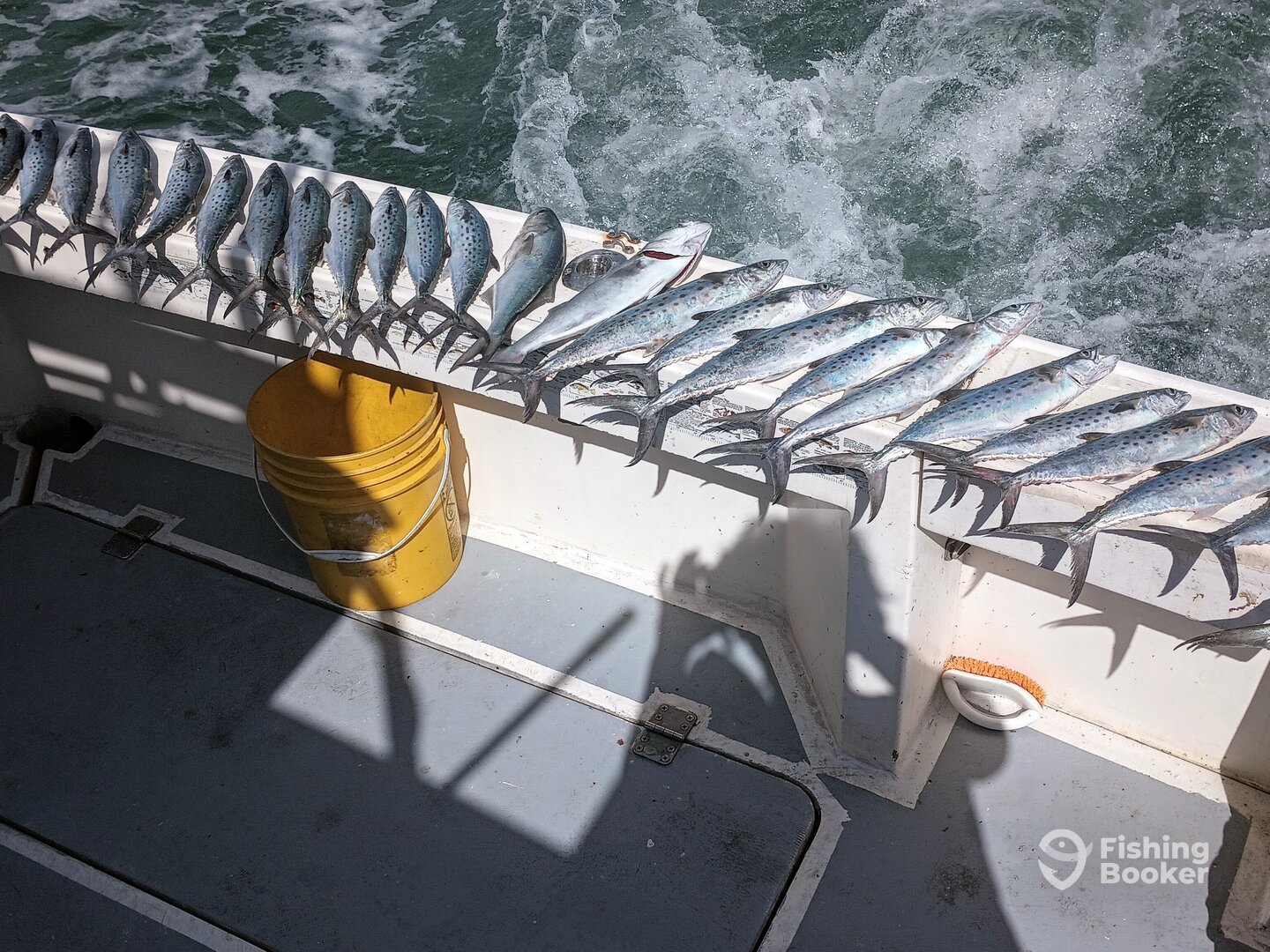 Port Canaveral Report Photo 0