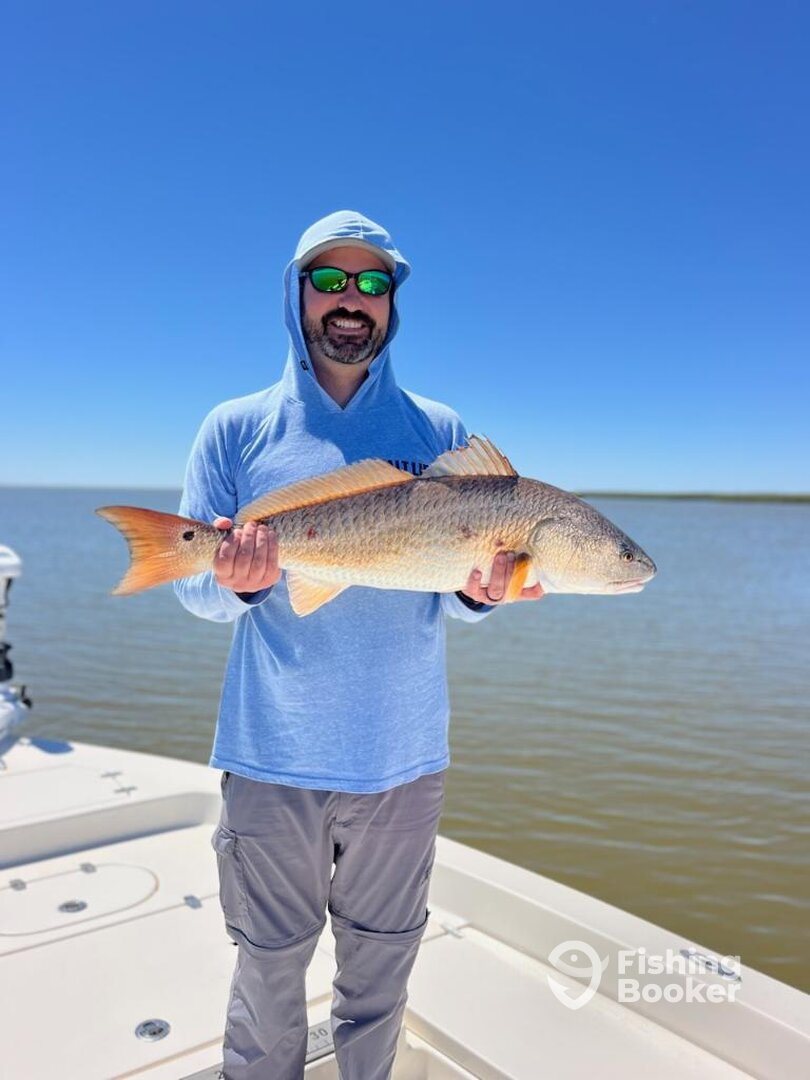 Venice Report Photo 0