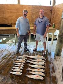 Venice Report Photo 1