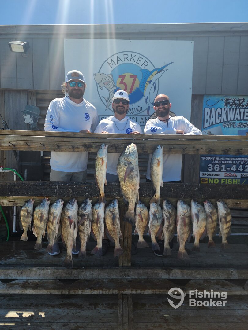 Corpus Christi Report Photo 0