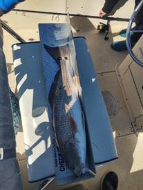 St. Augustine Report Photo 2