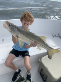 Port Orange Report Photo 1