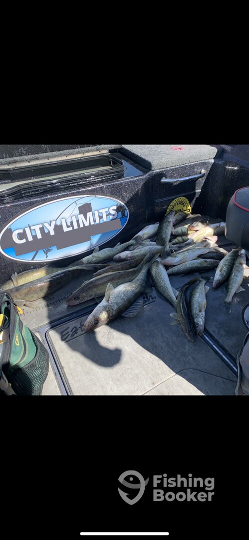 Wyandotte Report Photo 0