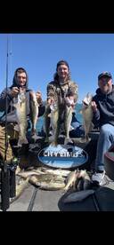 Wyandotte Report Photo 2