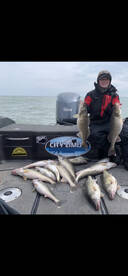 Wyandotte Report Photo 2