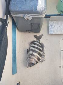 St. Augustine Report Photo 2