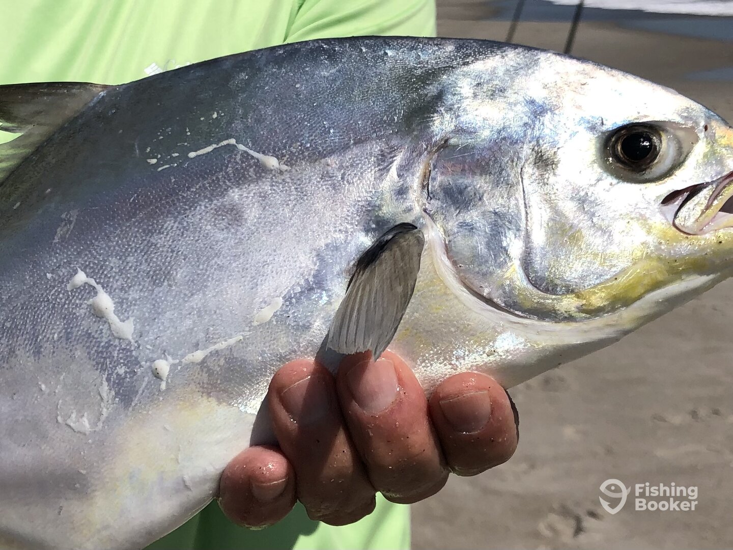 Cocoa Beach Report Photo 0