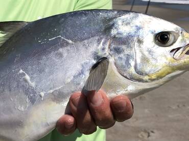 BEACH FISHING ON FIRE!!