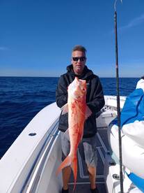 Placida Report Photo 2