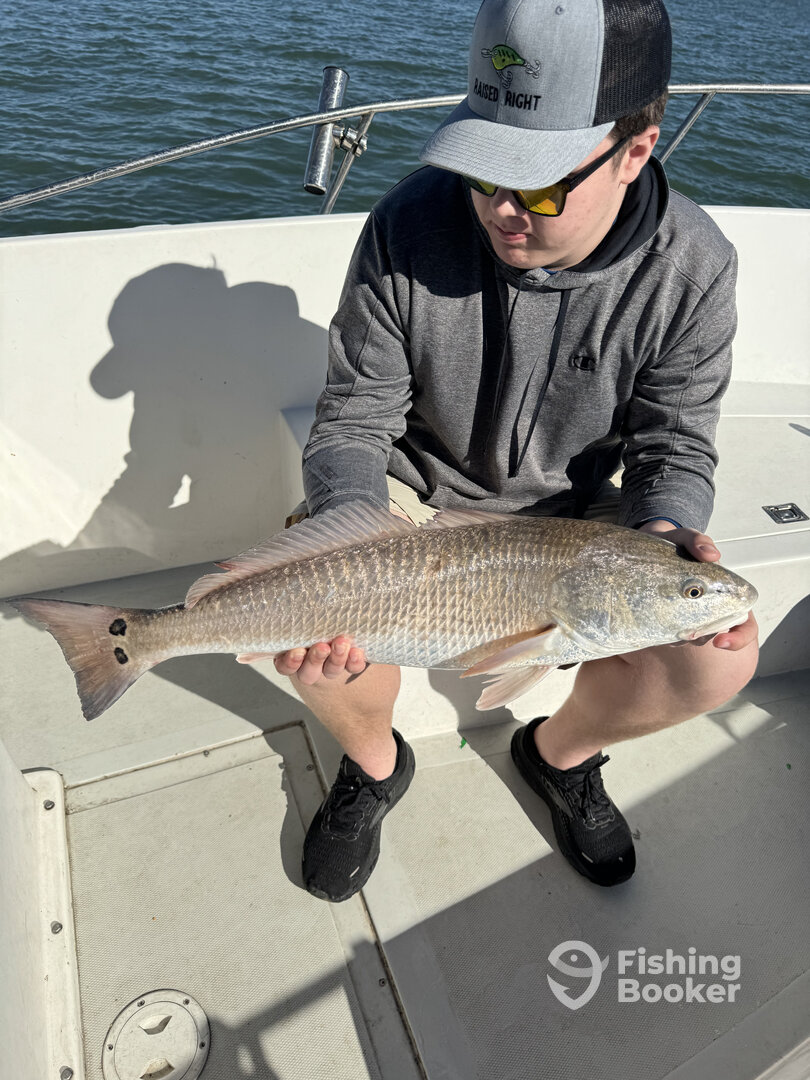 Port Orange Report Photo 0