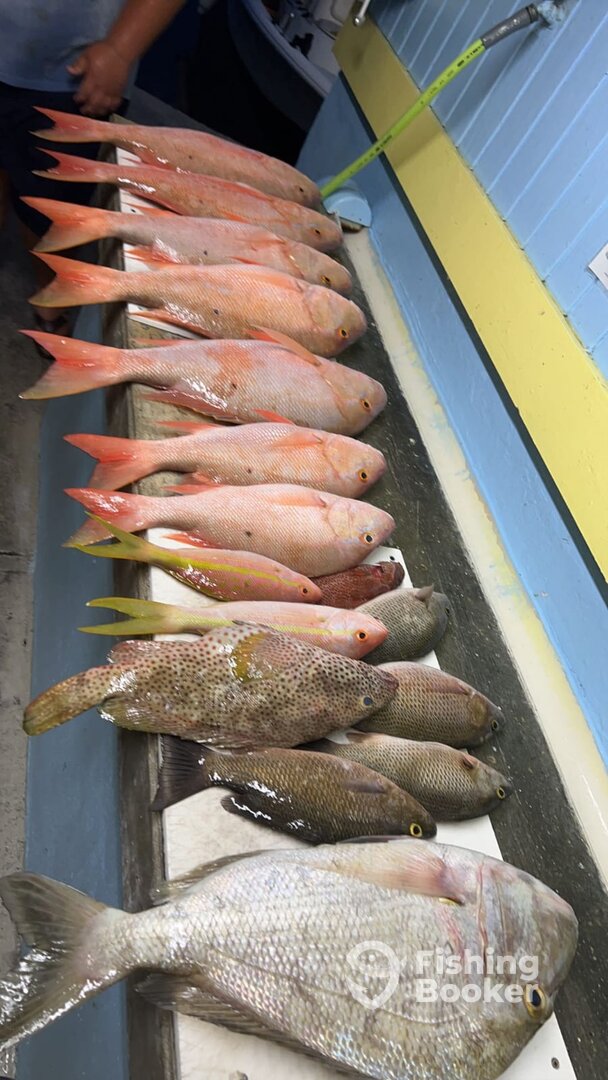 Homestead Report Photo 0