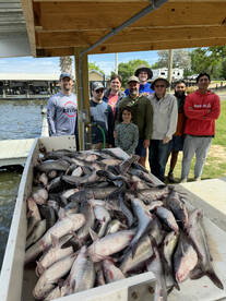 Catfish bite is starting up