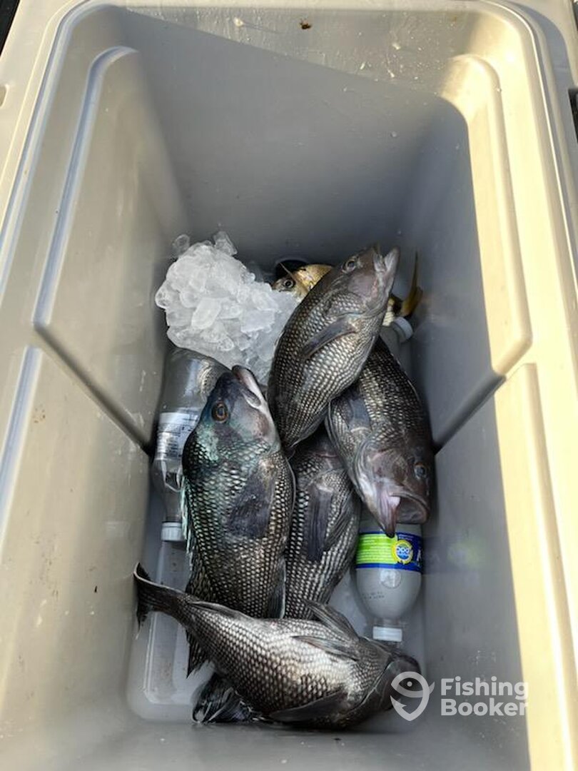 St. Marys Report Photo 0