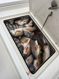 Venice Report Photo 1